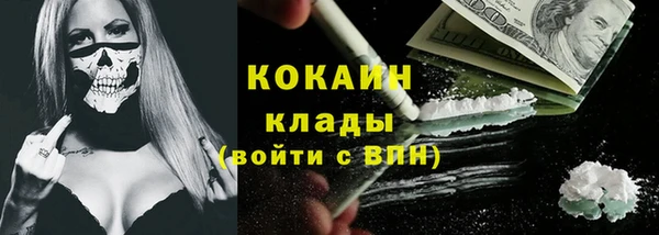 крисы Аркадак