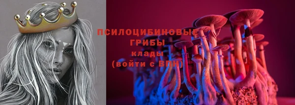 крисы Аркадак