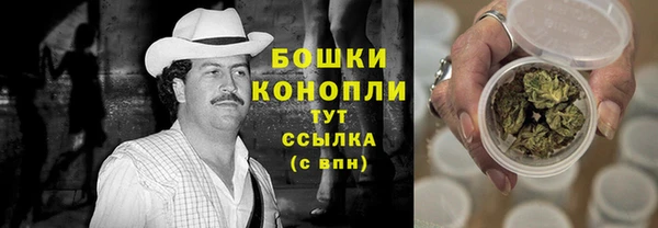 амф Арсеньев