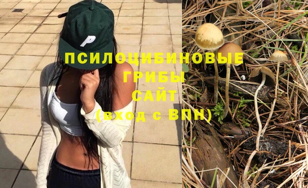 амф Арсеньев