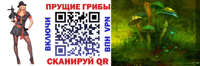 Псилоцибиновые грибы MAGIC MUSHROOMS  наркошоп  Зима 